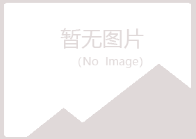 横　县山柳工程有限公司